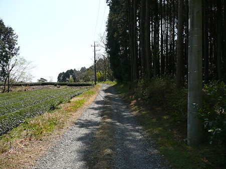 明星山へ続く道