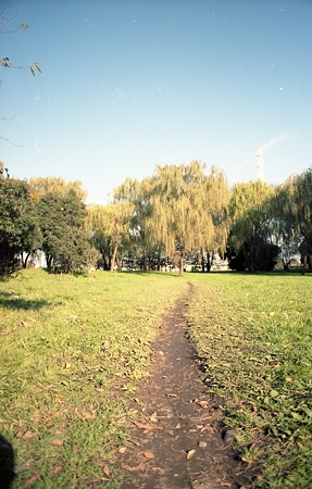 201111-05-008PZ