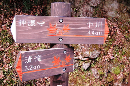 2012年01月08日_DSC_0012山城高雄 神護寺