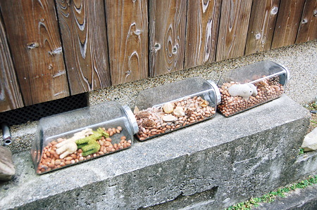 2012年01月09日_DSC_0494