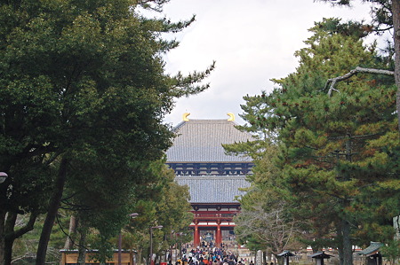 2012年01月09日_DSC_0533