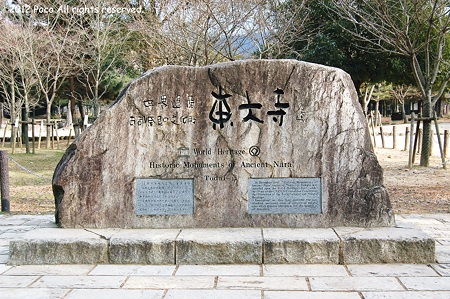 2012年01月09日_DSC_0521