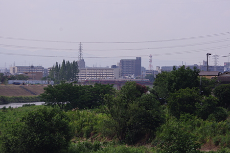 IMGP1608