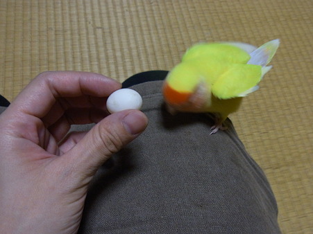 たまごキライ?1