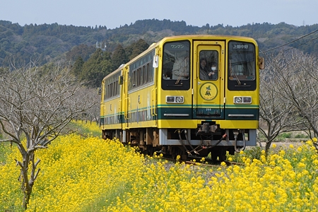 D20_4155