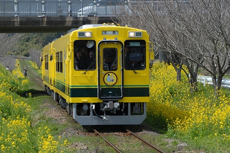 D20_4170