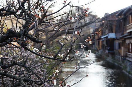 DSC00780