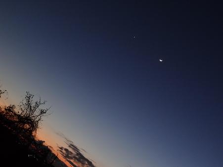 金星と月の大接近