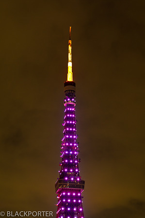 東京タワー 紫色