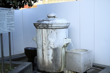 DPP_0254