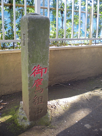 IMGP3966