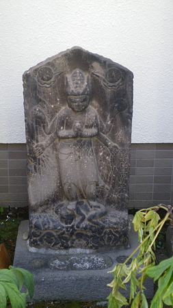 IMGP5523