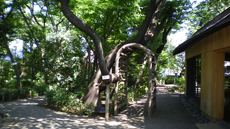 IMGP5573