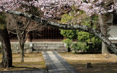 広隆寺07