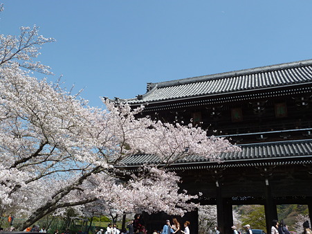 根来寺2011 026