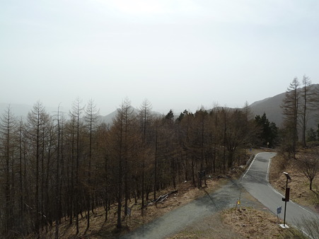 2011甲信 042