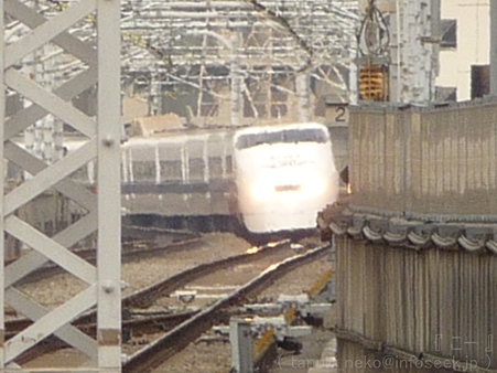 120224-300系(ペイント車) (3)