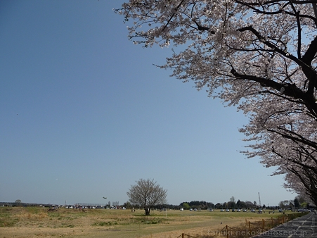 120412-海軍道路 (38)