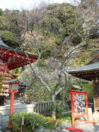 110308-荏柄天神 (12)