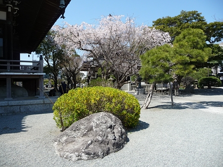 110406-本覚寺 (2)