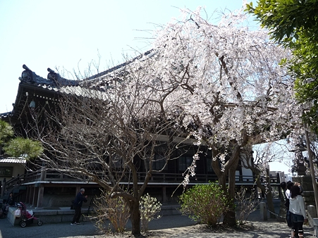 110406-本覚寺 (6)