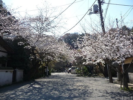 110406-光則寺 (51)
