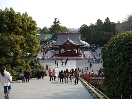 110411-八幡さま (8)