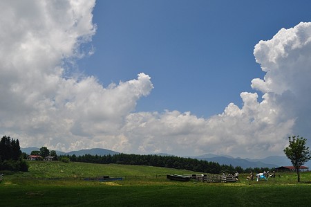 DSC_1407