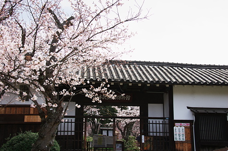 日本民家集落博物館