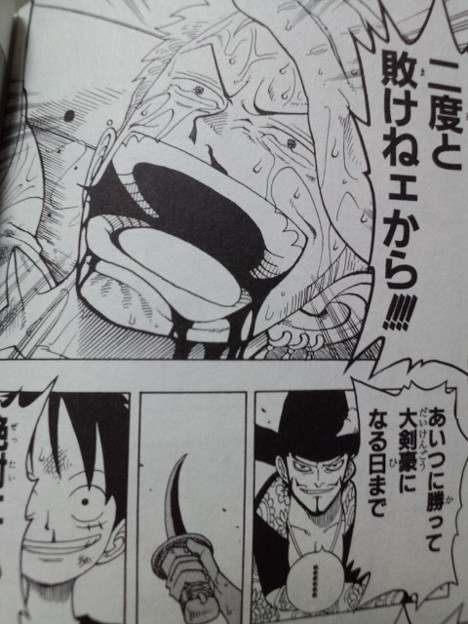 One Piece 6巻 背中の傷は剣士の恥だ からの ゾロと共に号泣 写真共有サイト フォト蔵
