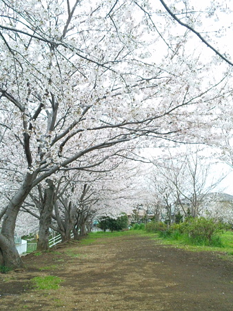 SBSH0169