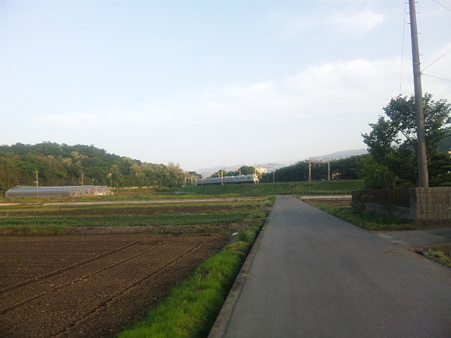 SBSH0361