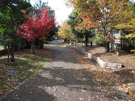 resize0323