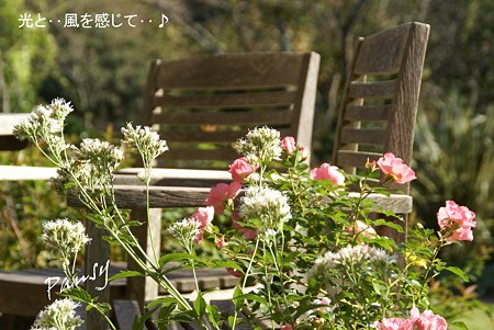 石窯 garden terrace..9