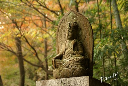 観修寺（かじゅうじ）・・10