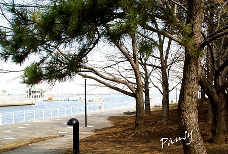 海のみえる風景・・1