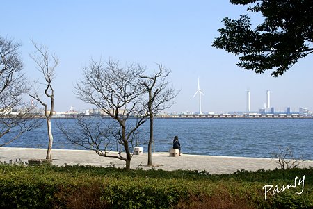 海のみえる風景・・4