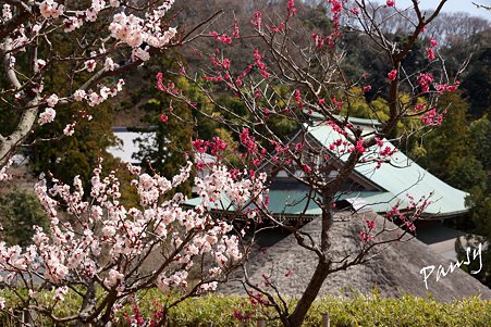 円覚寺・・11