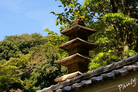 長月の円覚寺にて・・5