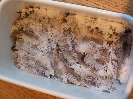 P1100473
