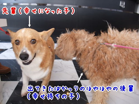 先輩とご挨拶