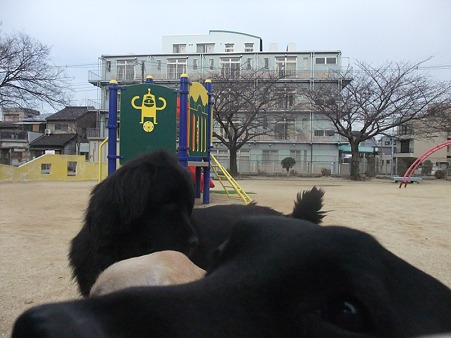 さぁ、写真撮ろう!