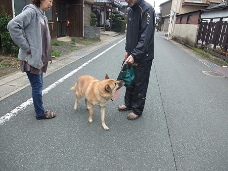 お散歩いってらっしゃい!