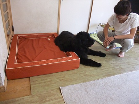 優しい眼差しで見つめてくれるお兄ちゃん