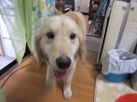 みずきトライアル中