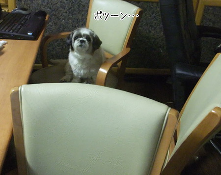 ここに一人で