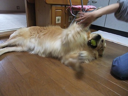 とっても甘えん坊で