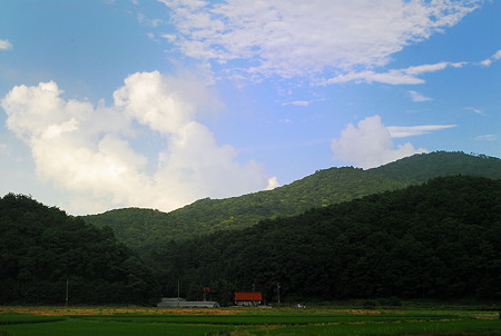 目の前に広がる風景はこんな感じ