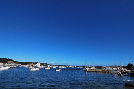 DSC_0407