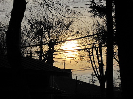 夕日